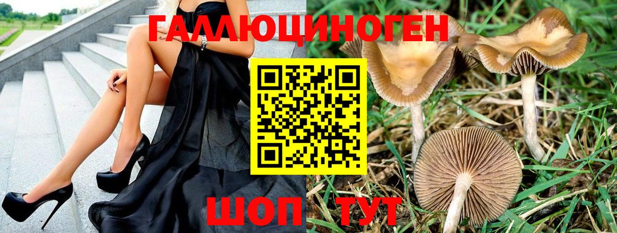 Галлюциногенные грибы Psilocybine cubensis  Псилоцибиновые грибы GOLDEN TEACHER  Топки  Вход с VPN 