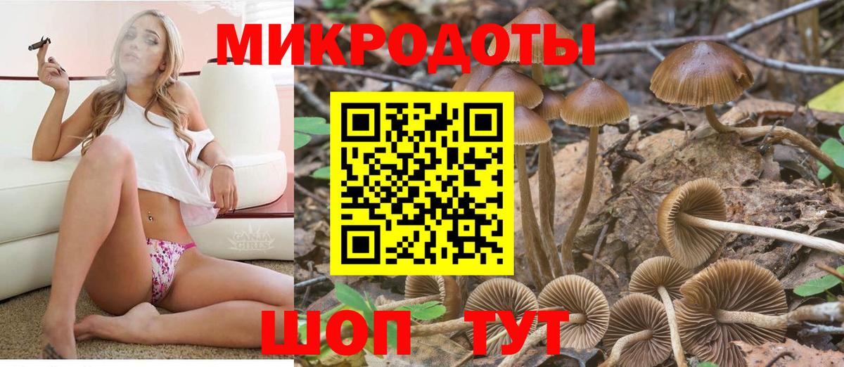 Псилоцибиновые грибы Magic Shrooms Топки