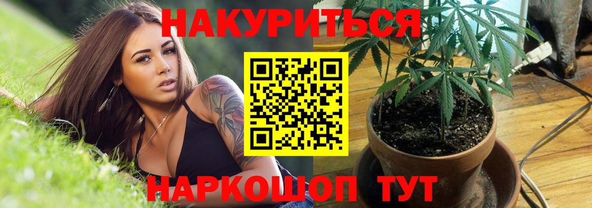 МАРИХУАНА Ganja  Вход с VPN  Топки  Каннабис THC 21% 